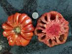 5 zaden grote rood-bruine tomaat Pleated Carnelian - bio, Verzenden, Voorjaar, Zaad