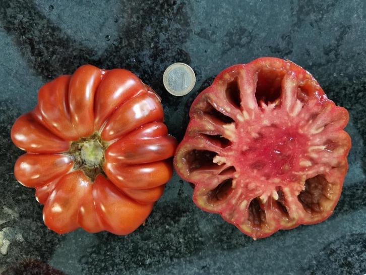 5 graines de tomate plissée brun-rouge Pleated Carnelian, Jardin & Terrasse, Bulbes & Semences, Graine, Printemps, Envoi