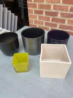 Bloempotten in verschillende kleuren, Ophalen, Zo goed als nieuw