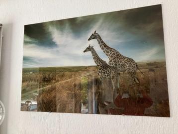 Tafel versierd met geplateerd glas met giraffen beschikbaar voor biedingen