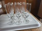 12 champagneglazen, Ophalen of Verzenden