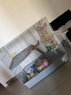 Cage pour rats/hamsters avec accessoires, Comme neuf, 60 à 90 cm, Hamster, Enlèvement