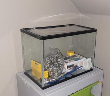 Volledig aquarium beschikbaar voor biedingen
