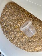 Kuikenmeel 15kg, Meerdere dieren, Kip