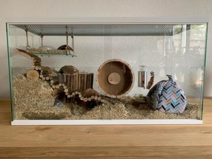 Hamsterkooi van glas MET schuifruiten voor hamsterscaping, Dieren en Toebehoren, Knaagdieren en Konijnen | Hokken en Kooien, Nieuw