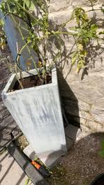 Betonnen bloembak, Tuin en Terras, Ophalen, Tuin, Gebruikt, Minder dan 60 cm