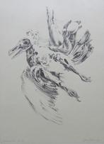 GUIDO MARIMAN / EMBRYONAAL LEVEN / KLEURLITHO / 47x32cm SIG, Antiek en Kunst, Ophalen of Verzenden