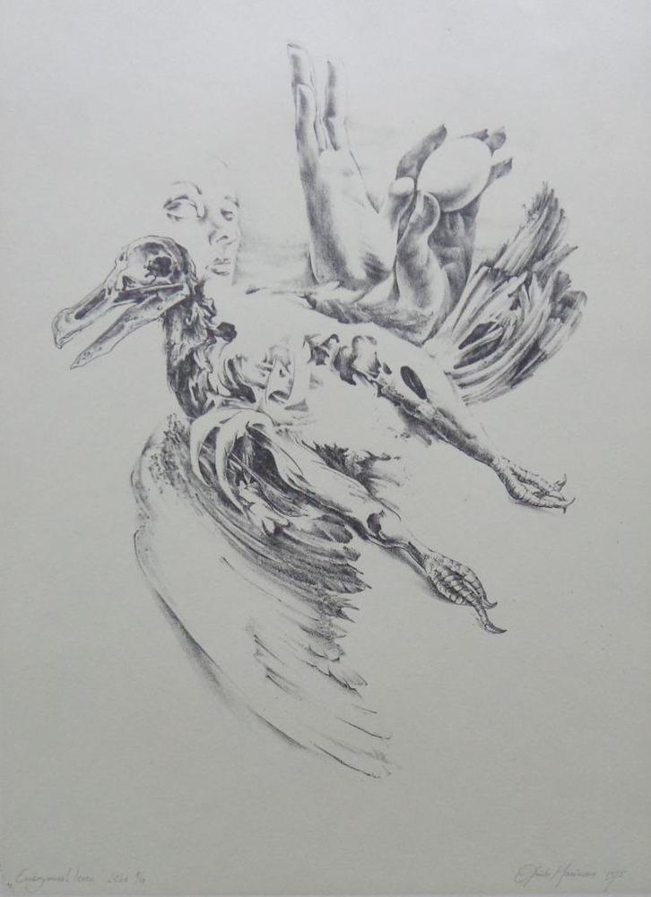 GUIDO MARIMAN / EMBRYONAAL LEVEN / KLEURLITHO / 47x32cm SIG, Antiek en Kunst, Kunst | Litho's en Zeefdrukken, Ophalen of Verzenden