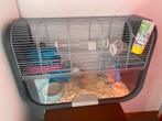 Hamster kooi + accessoires, Kooi, Zo goed als nieuw, Ophalen, Hamster