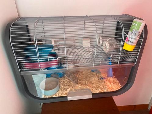Cage à hamster + accessoires, Animaux & Accessoires, Rongeurs & Lapins | Cages & Clapiers, Comme neuf, Cage, Hamster, Enlèvement