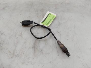 LAMBDASONDE Fiat Panda / Pandina (312) (|55220254|5220254|) beschikbaar voor biedingen