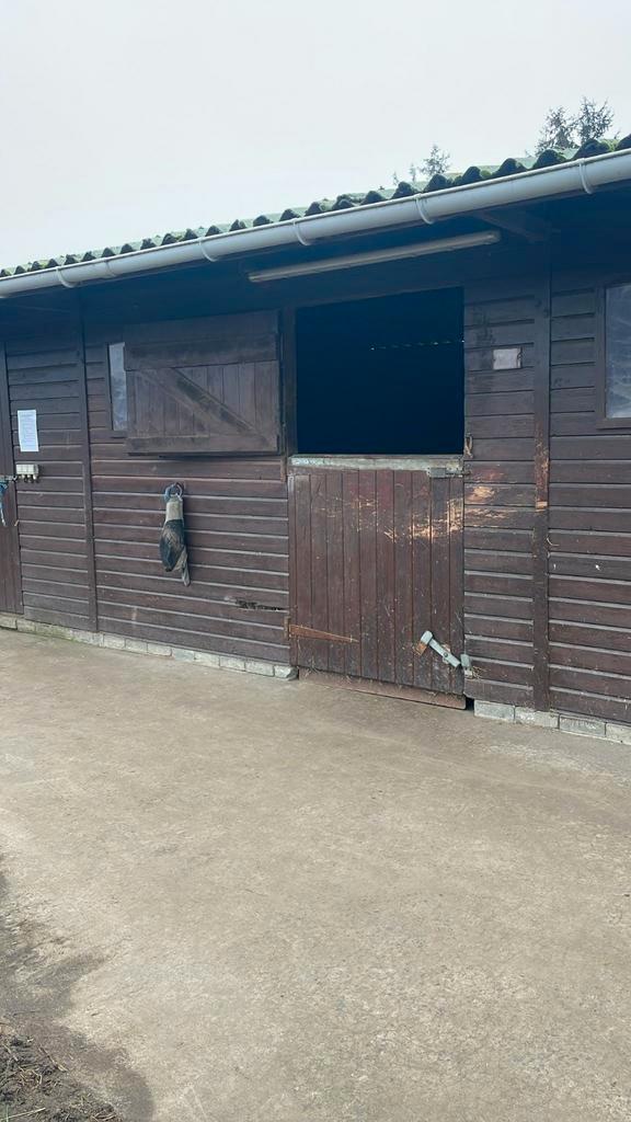 4 paarden stalen te huur op een kleine Privé stalling, Dieren en Toebehoren, Stalling en Weidegang, Stalling