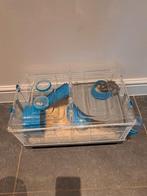 Hamster + kooi. ZEER ZUIVER, Dieren en Toebehoren, Ophalen, Kooi, Hamster