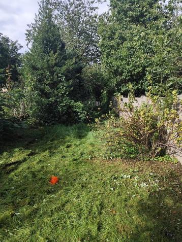  Entretien jardin – Professionnel & rapide beschikbaar voor biedingen