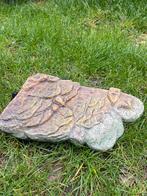 Turtle bank medium, Dieren en Toebehoren, Ophalen