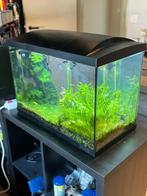 aquarium superfish 70 liter, Dieren en Toebehoren, Vissen | Aquaria en Toebehoren, Ophalen, Nieuw