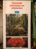 Courante cactussen en vetplanten, Cera, Boeken, Nieuw, Ophalen of Verzenden, Kamerplanten