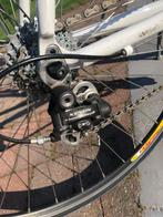 Racefiets Pinarello Prince SL 2004, Gebruikt, Meer dan 20 versnellingen, 53 tot 57 cm, Ophalen