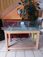 Aquarium (terrarium-vivarium), Dieren en Toebehoren, Reptielen en Amfibieën | Toebehoren, Ophalen, Gebruikt, Terrarium of Paludarium