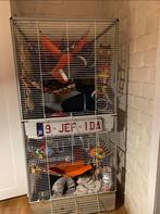Frettenkooi en toebehoren te koop, Dieren en Toebehoren, Knaagdieren en Konijnen | Hokken en Kooien, Ophalen, Gebruikt, Kooi, Muis