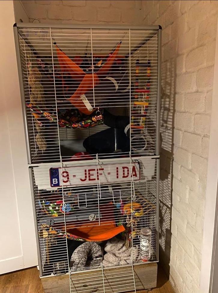 Frettenkooi en toebehoren te koop, Dieren en Toebehoren, Knaagdieren en Konijnen | Hokken en Kooien, Gebruikt, Kooi, Fret, Muis