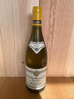 Bouteilles Regnard Chablis Grand Cru 'Les Clos' 2022, Collections, Pleine, France, Enlèvement ou Envoi, Vin blanc