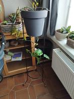 Plantenstaanders, Ophalen, Gebruikt