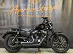 Harley-Davidson Chopper Sportster 883 Iron XL883N, Entreprise, Plus de 35 kW, Autre, 883 cm³