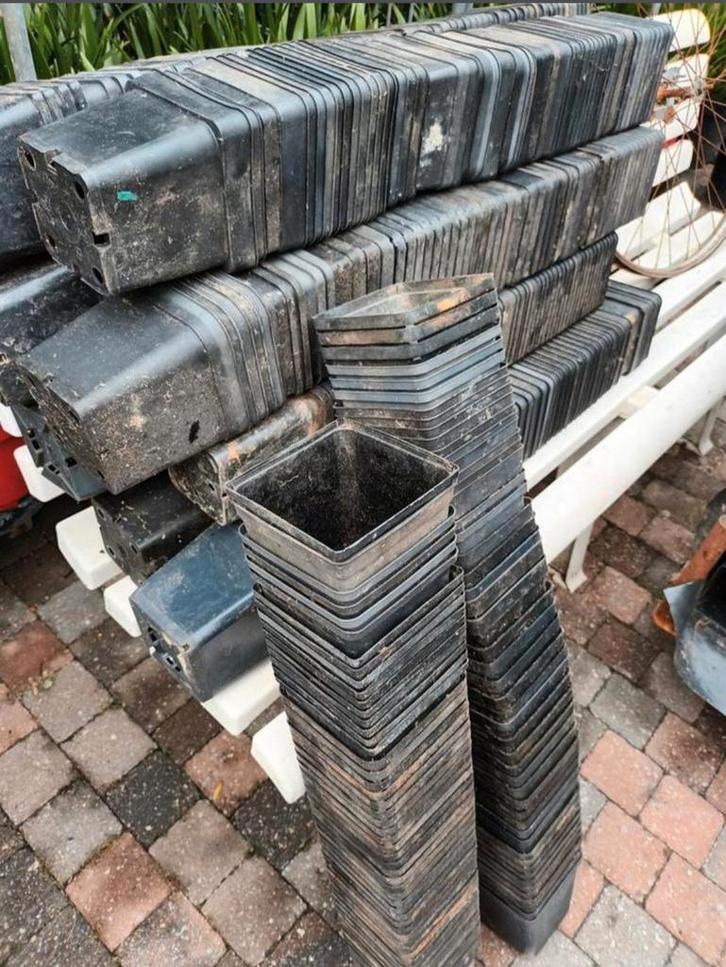 Kweekpotjes P11, Tuin en Terras, Bloempotten, Gebruikt, Kunststof, Minder dan 40 cm, Minder dan 25 cm, Vierkant, Ophalen of Verzenden