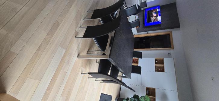Eettafel en 8 stoelen, Huis en Inrichting, Tafels | Eettafels, Zo goed als nieuw, 100 tot 150 cm, 100 tot 150 cm, Vijf personen of meer