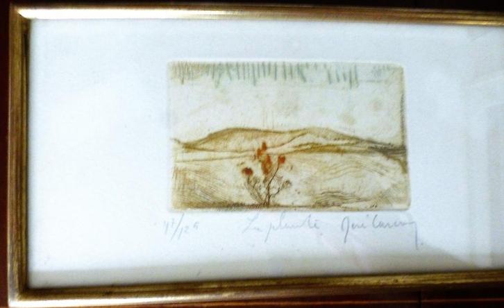 Rene Carcan - ets - "La Plante" - getekend & 47/125, Antiek en Kunst, Kunst | Etsen en Gravures, Ophalen of Verzenden