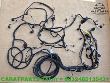 1EA971658 Audi Q4 kabelboom Cupra Born kabelboom ID5 ID4 beschikbaar voor biedingen