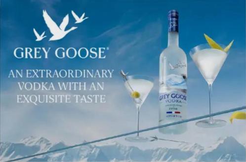 Reclamebord vintage Grey Goose vodka - mancave poolhouse new, Verzamelen, Merken en Reclamevoorwerpen, Nieuw, Reclamebord, Ophalen of Verzenden