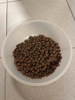 hondenvoeding CHAMP, Ophalen, Hond