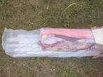 Kinder party tent 250/150/164, Ophalen, Nieuw