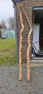 papegaai java stammen, Papegaai