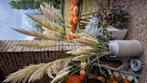 Pampas pluimen, Ophalen, Zo goed als nieuw