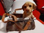 Posture de golden retriever dans un sac, Ophalen of Verzenden, Zo goed als nieuw