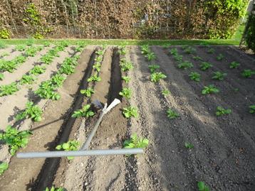 gros approbateur, Enlèvement, Utilisé, Autres types