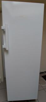 LIEBHERR FRIGO GROOT MODEL, Elektronische apparatuur, Vriezers en Diepvrieskisten, Ophalen