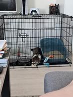 Bench, Dieren en Toebehoren, Hondenbenches, Ophalen, Zo goed als nieuw