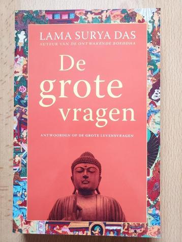 De grote vragen - Lama Sury Das beschikbaar voor biedingen
