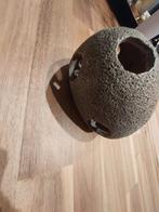 Grot voor vissen, Enlèvement