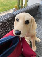 Net echt labrador, Ophalen