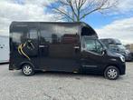 LUXE | RENAULT MASTER | 2022 | STALLION | BLACK | SODIAK 3XL, Dieren en Toebehoren, Paarden en Pony's | Trailers en Aanhangwagens