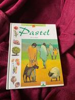 Livre dessiner au pastel 2€, Hobby & Loisirs créatifs, Dessin, Enlèvement