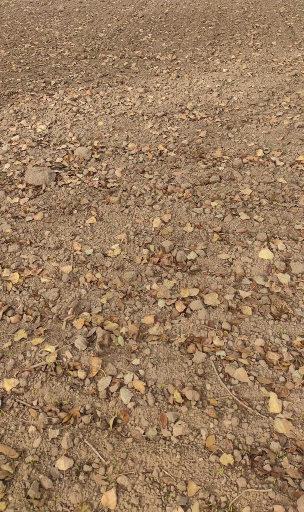 Op zoek naar een partnerboer voor een veehouderijproject, Vacatures, Vacatures | Landbouw, Natuur en Milieu