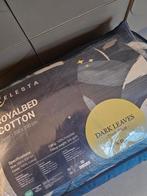 Zelesta, Enlèvement, Neuf