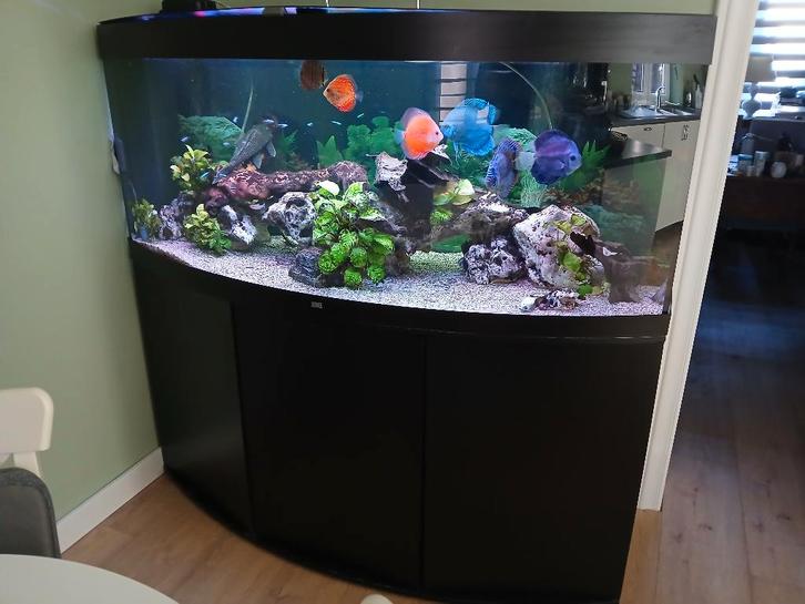 Aquarium Juwel 450 L complet, Dieren en Toebehoren, Vissen | Aquaria en Toebehoren, Gebruikt, Leeg aquarium, Ophalen of Verzenden