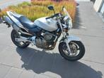 Honda CB 600F hornet naked bike, Motos, Motos | Honda, Naked bike, 600 cm³, 4 cylindres, Particulier